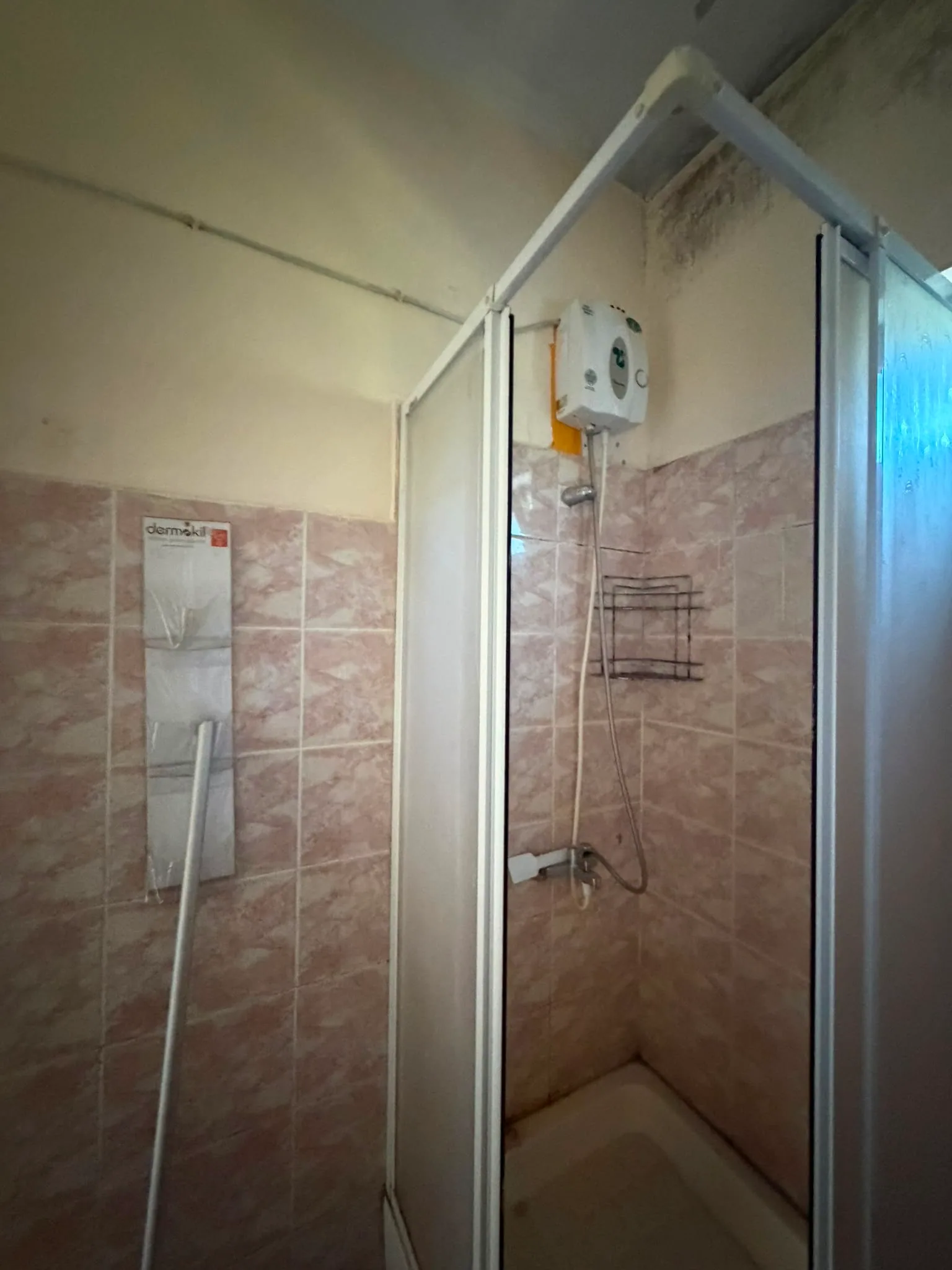 Existing condition before renovation: the bathroom as it stands